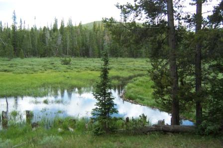 Wyoming Beaver Dam