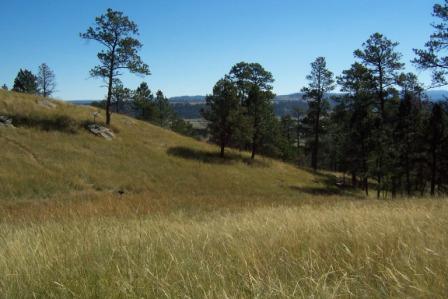 Along the Red Beds Trail