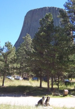 Buck and Lily at Devils Tower