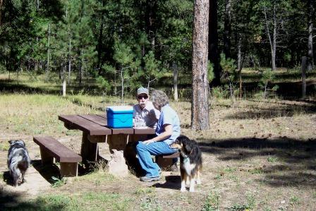 Bear Lodge Camp Ground