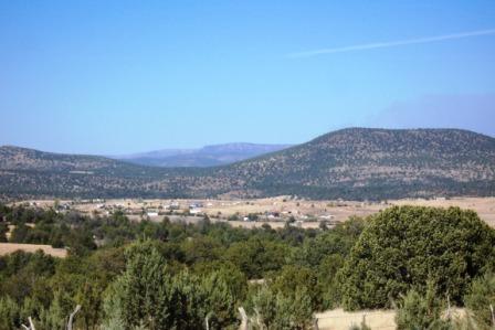 Young Arizona in the Tonto Basin