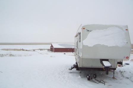 The Eagle in the Snow