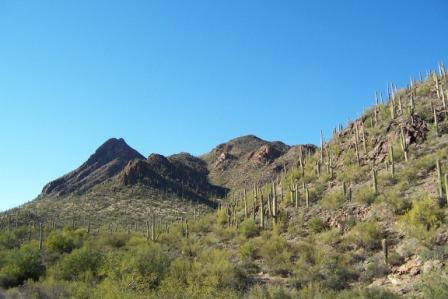 Tucson Mountain Park