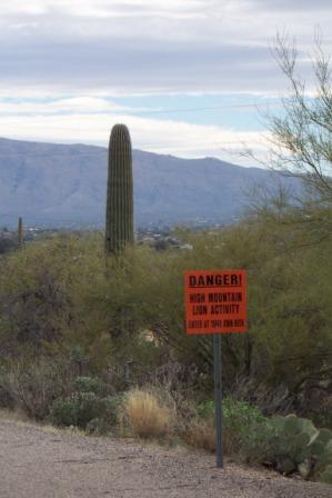 Mountain Lion Warning Sign