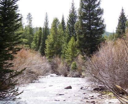 Libby Creek on the Medicine Bow National Forest