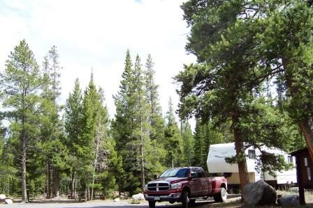 Willow Campground site