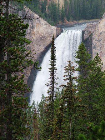 Lower Falls of the Yellowstone