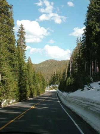 Forest shrouded Trail Ridge Road in RMNP