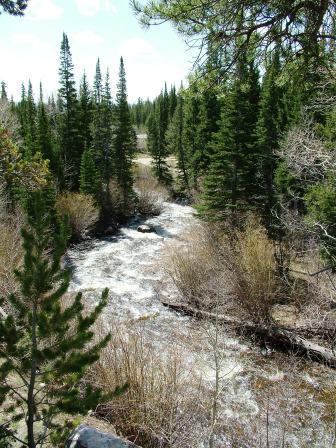 Libby Creek Medicine Bow National Forest