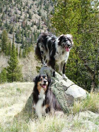 Lily and Buck near Corner Mountain on the Medicine Bow