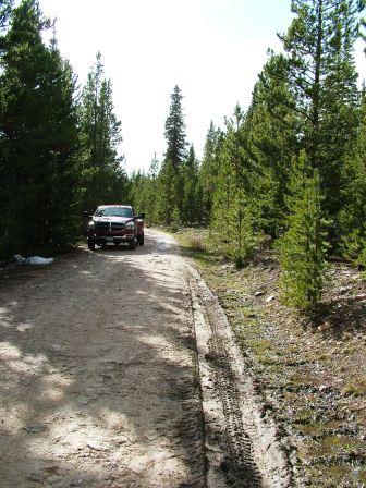 Backroading on the Medicince Bow National Forest