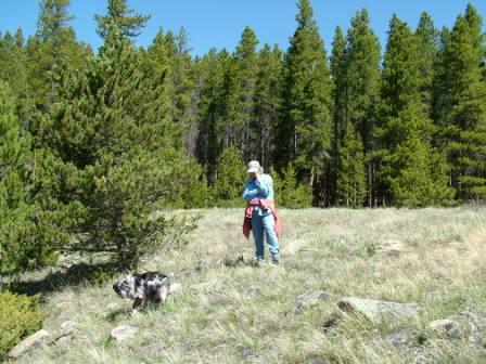 Doing Business... High in the Rockies