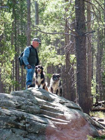 Pups on a rock