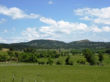 Black Hills View