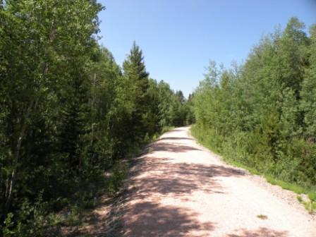 Railroad Grade Hiking Trail in Medicine Bow NF