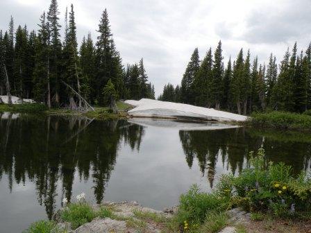 July Snow Bank in the Medicine Bow National Forest