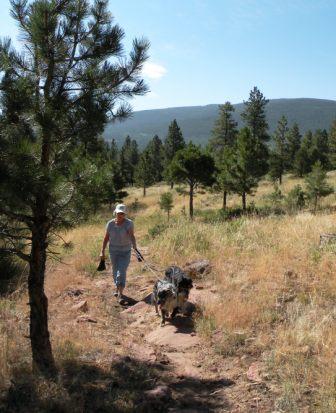 Morning walk in Flaming Gorge Nat Rec Area