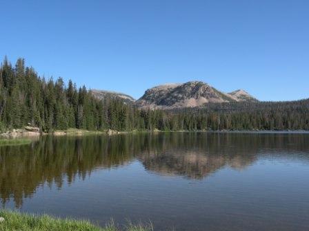 A Mirror Lake View