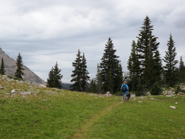 Heidi and Lily in the Uintas