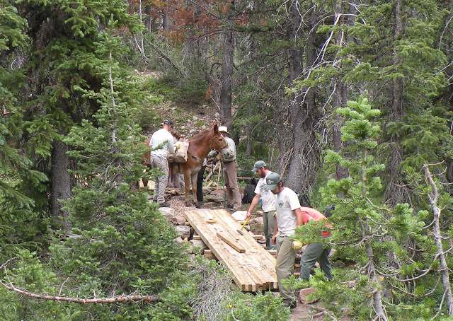 Mule Packer dumping rock