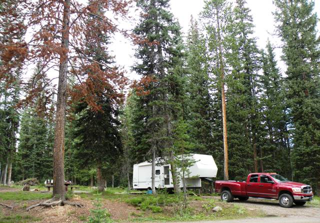 Meadows Camp on Rout National Forest