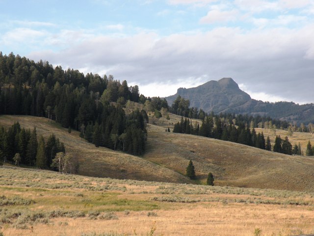 In the Lamar Valley