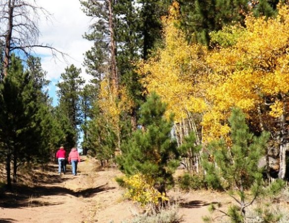 Hiking in Red Feather Colorado