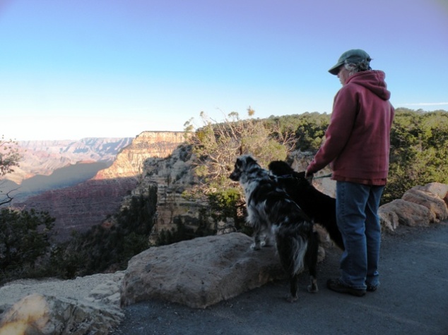 Dogs Looking at the Grand Canyon