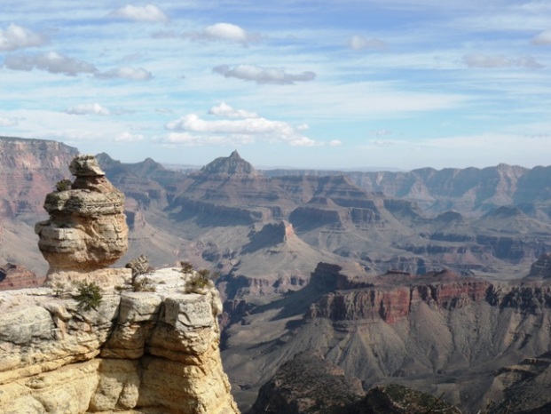 Grand Canyon View