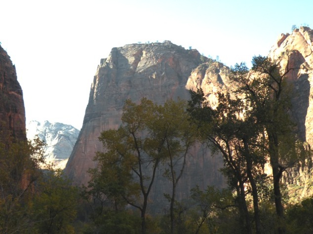 Angels Landing in Zion National Park