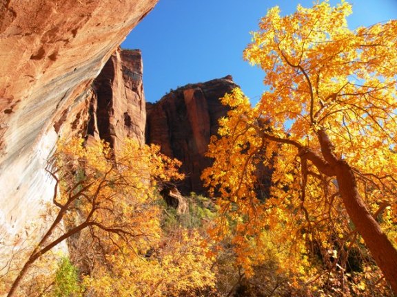 Approaching Emerald Pools in Zion National Park