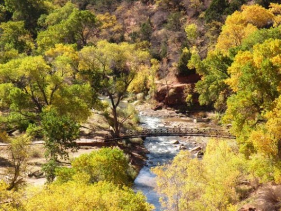 Bridge over the Virgin River in Zion National Park