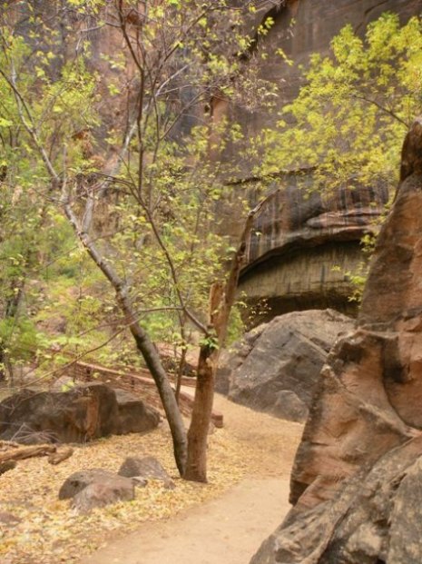 Riverside walk trail in Zion