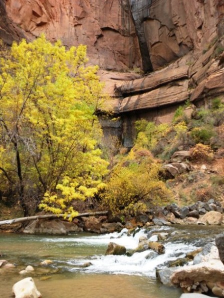 Virgin River along the Riverside Walk in Zion