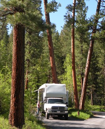 Indian Trees Campground, Bitterroot National Forest