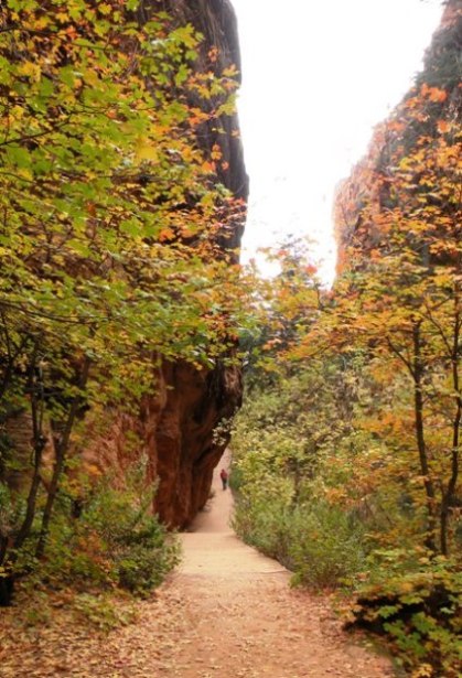 through a narrow canyon in Zion