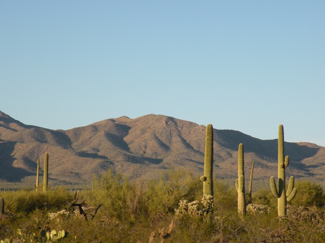 Desert View near Justins RV Park