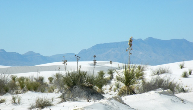 White Sands 9