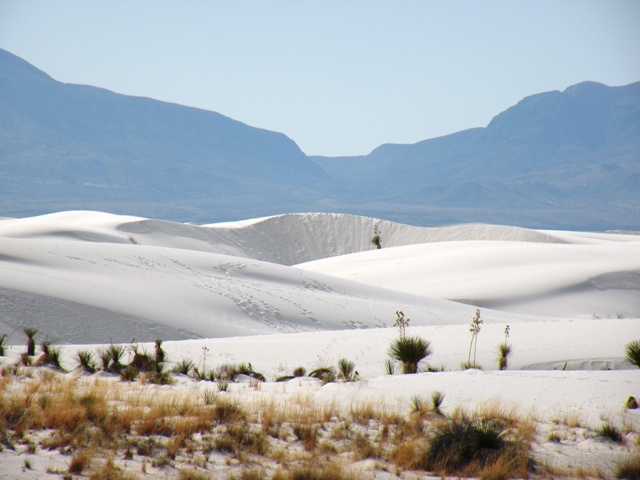 White Sands 1