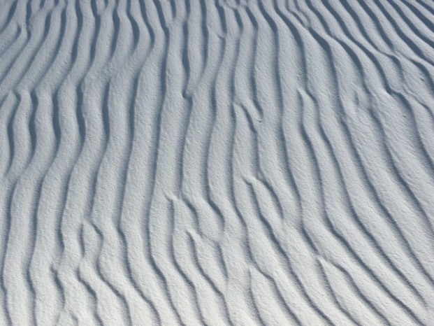 Natural Abstract Art in the White Sands