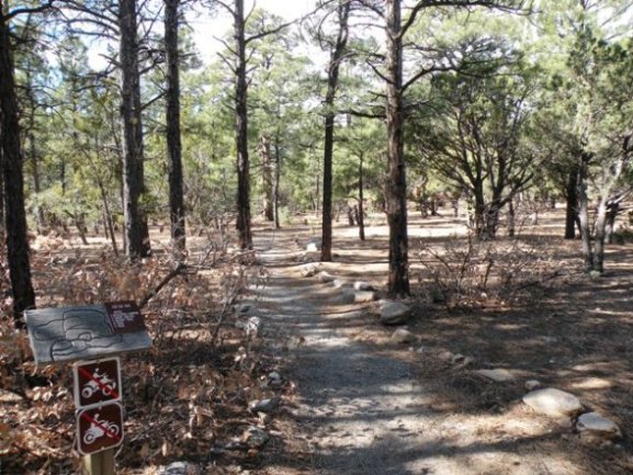 Trail in Manzano Mtns. State Park