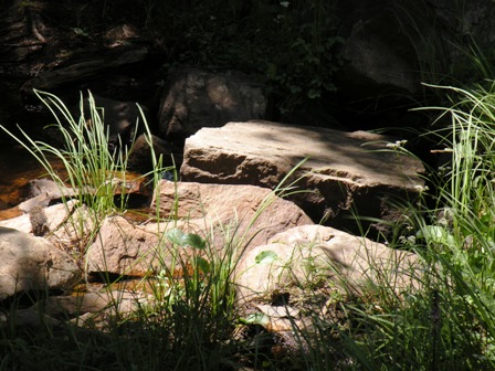 Libby Creek feeder stream in the Snowy Range Wyoming