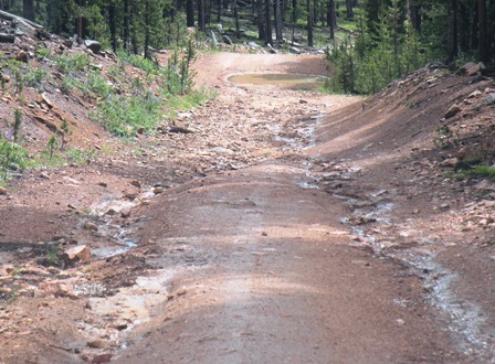 Back Road in Red Feather Lakes