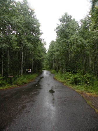 McClure Campground in the Gunnison National Forest