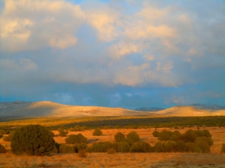 Kaibab National Forest RV Boondocking Camp