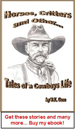Horses Critters and Other Tales of a Cowboy's life ebook