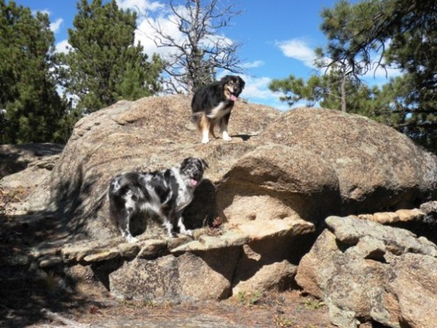 Lily and Buck on Red Feather rocks