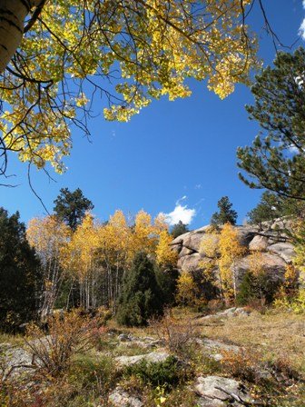 canyon view near Red Feather