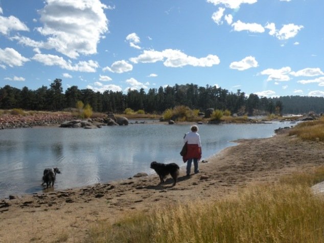 banks of Dowdy Lake