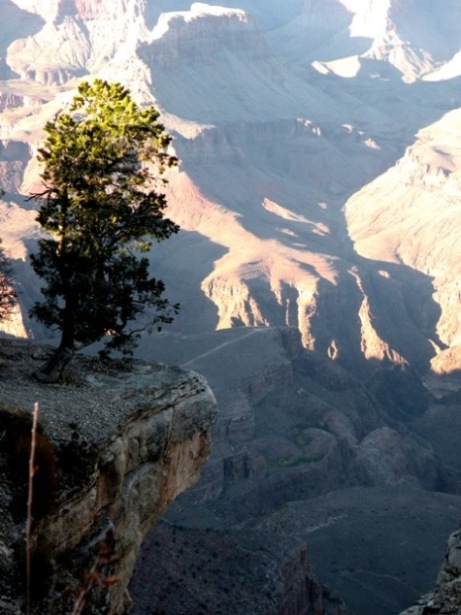 a long way down in the Grand Canyon